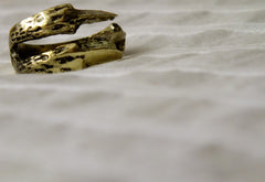 Claw Shaped Ring